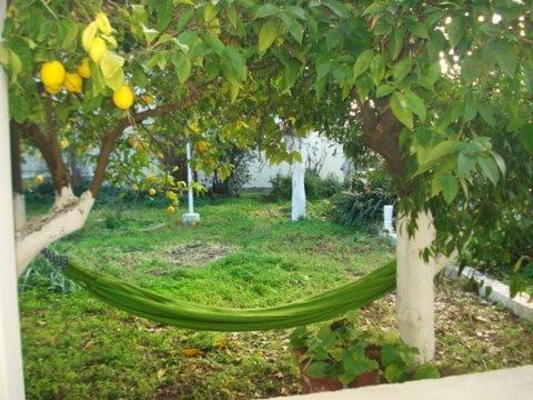 הוילה Artistic House In Limni Evias מראה חיצוני תמונה